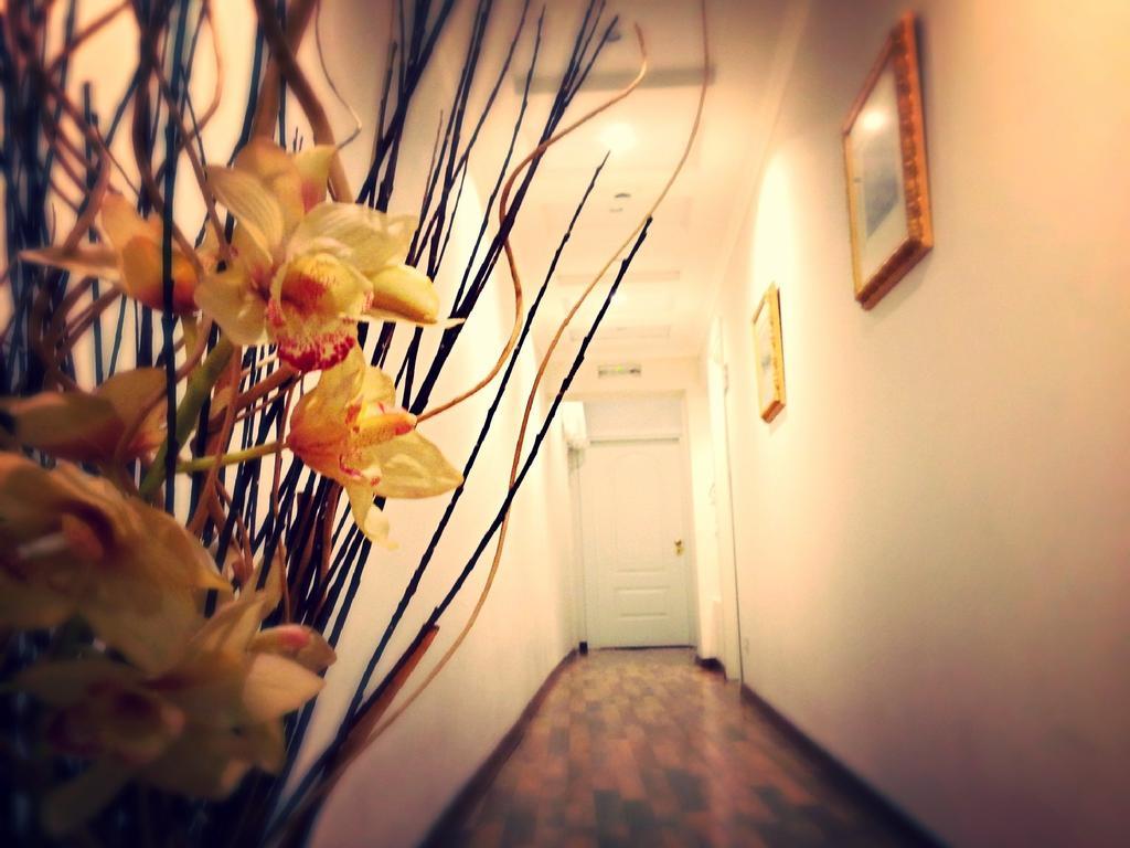 Residenza Domiziano Bed & Breakfast Roma Ngoại thất bức ảnh